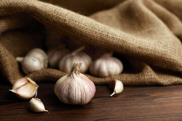 Fresh garlic cloves and garlic bulb on burlap on wooden table