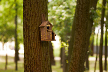 Birdhouse on a tree in the park.