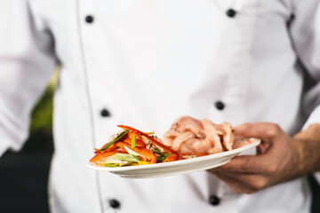 Chef holding plate with fresh meal. Closeup chef hands with healthy food.