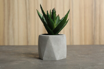 Artificial plant in flower pot on grey stone table