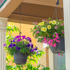 Square frame Colorful potted flowers hanging on chains at the porch of a lovely home