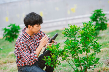 Young farmer holding tablet and checking plants in field