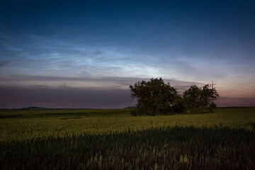 noctilucent clouds over the fields
