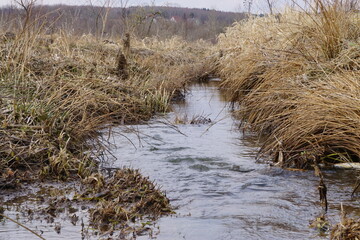 bach der durch ein feld fließt 