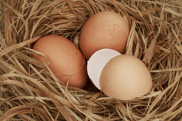 Chicken eggs in the nest. Close up.