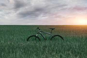 Naklejka premium mountain bike in the green field during sunset