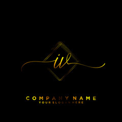 IV Initial handwriting logo vector