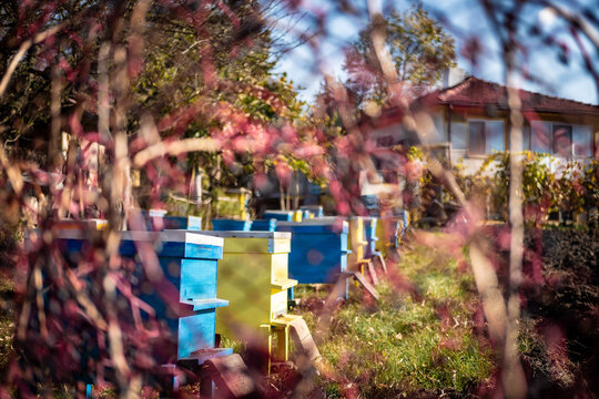 Colourful bee hives shot through an old fence in Levski village, Varna, Bulgaria