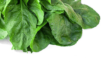 Fresh organic Swiss Silverbeet chard or spinach leaves with drops of water on white background. Healthy eating concept. Top view. Copy space