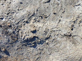 Texture cement plaster
