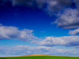 Campo color
