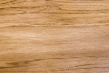 wood texture background