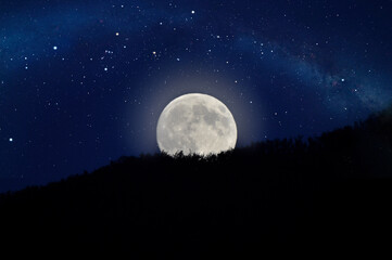 Fototapeta na wymiar Moon over the forest