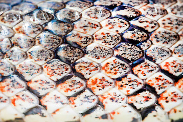 Snake skin texture (Coronella girondica).