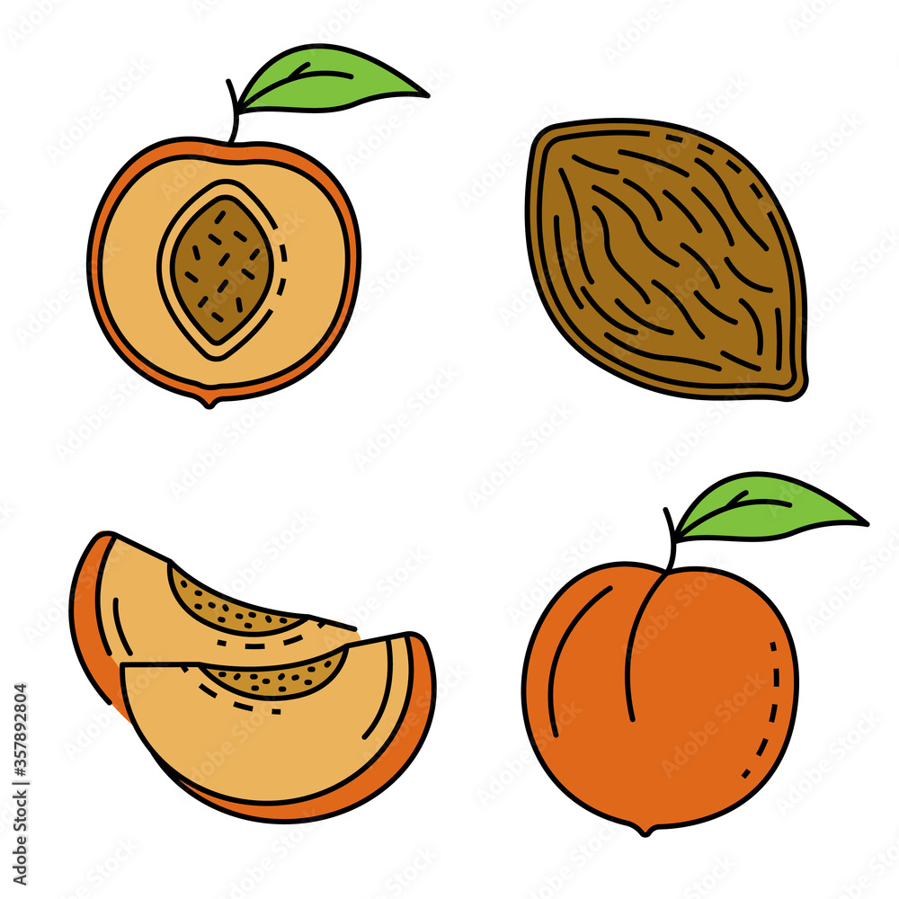 Aufkleber peach icons set. outline set of peach vector icons thin line color flat isolated on white