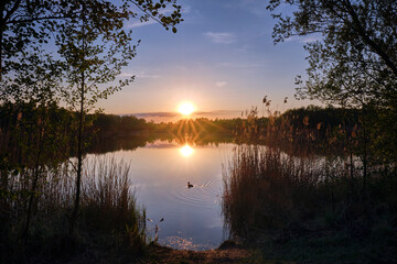 Sonnenuntergang am Waldsee.