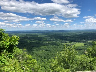 landscape with trees