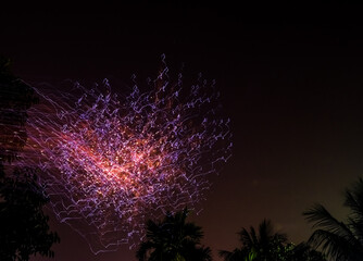 Blue and pink fireworks at night sky with visible trees