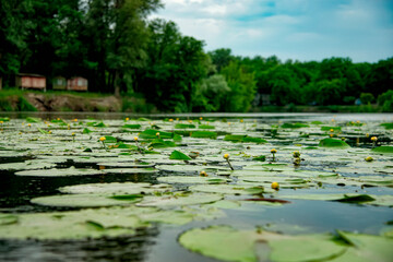 
rivers of Ukraine