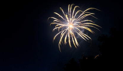 White and yellow fireworks at night sky with visible trees