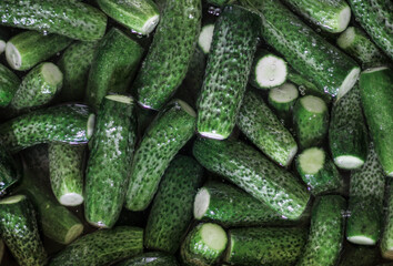 Green and wet cucumbers background, close up