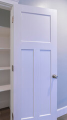 Vertical Open empty fitted cupboard or wardrobe interior