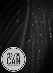 Motivational quotes about life, Yes you can