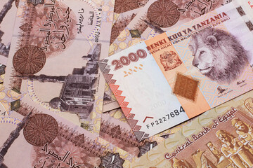 A close up image of a two thousand Tanzanian shilling bank note on a background of Egyptian one pound bank notes