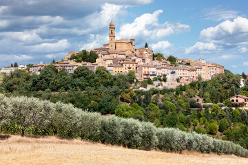 Montelupone, Macerata, Marche. Il borgo con la chiesa sulla collina, nel contesto agricolo di ulivo...