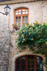 Façade d'une maison en Provence, France, un rosier avec des fleurs jaunes au printemps. 