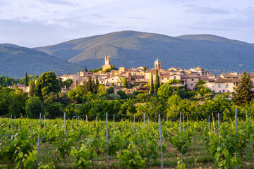 Vue panoramique sur le village Lourmarin, massif du Luberon en arrière plan. Des vignes au printemps. France.  - 357896269
