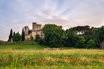 Vue sur le Château de Lourmarin, Provence, France. Les ânes en pâture sur le premier plan,...
