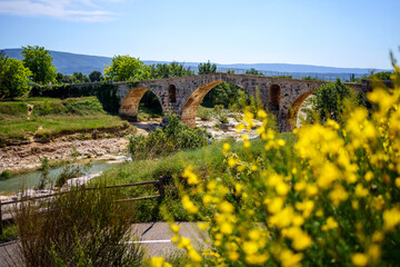 Ancien pont romain en Provence - Pont Julien. Rivi&egrave;re Calavon. Printemps, fleurs de gen&ecirc;t au premier plan. France, Luberon. 