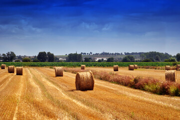 hay bales in the field, Normandy France