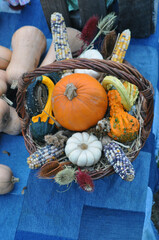 pumpkins and gourds