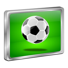 Button with Soccer ball - 3D illustration