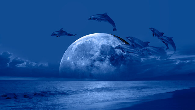 Silhoutte of dolphins jumping up from the sea with blue full moon "Elements of this image furnished by NASA "