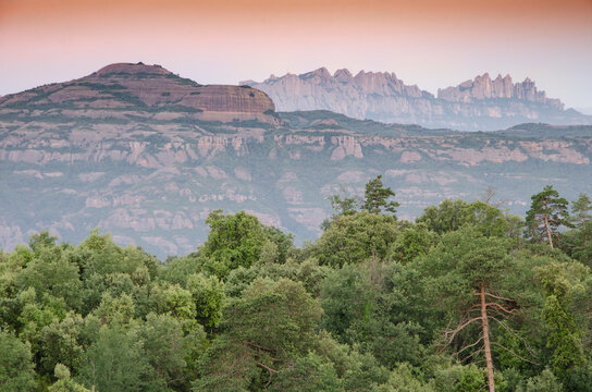 Vista de los parques naturales de Sant Lloren&ccedil; del Munt y la Monta&ntilde;a de Montserrat con un bosque en primer termino (Catalu&ntilde;a, Espa&ntilde;a).