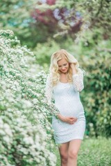 Young beautiful pregnant woman in a lace white dress walks in a flowering park. Portrait of a beautiful pregnant blonde. Spring.