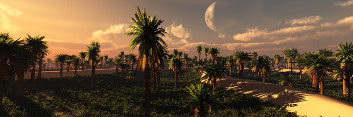 Palm grove in the sand desert at sunset, 3D rendering