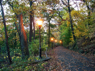 twilight autumn in the park
