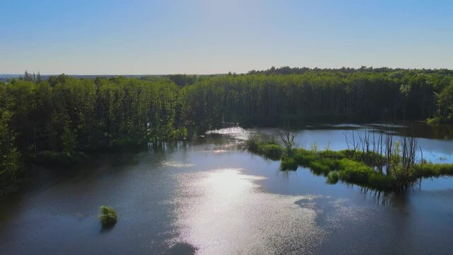 widok z g&oacute;ry na bagna przy jeziorze, woda, las, bagna