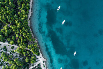 Top view boats floating by a green coastline
