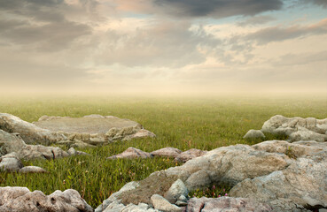 Beautiful simple ground scenery with grass and mist clouds in sunset