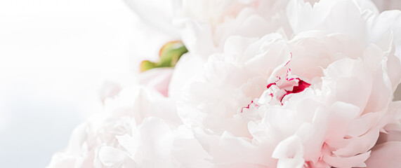 Bouquet of peony flowers as luxury floral background, wedding decoration and event branding