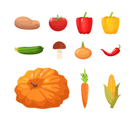 Different autumnal vegetables semi flat RGB color vector illustration set. Ripe pumpkin. Fresh peppers. Crop of potato. Farmer market products isolated cartoon object pack on white background
