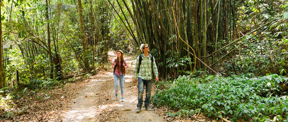 Hikers walking in the bamboo jungle. Travel and tourism concept. Selective focus. Banner and panoramic edition.