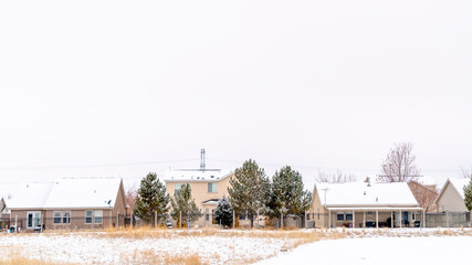 Fototapeta na wymiar Panorama crop Scenic neighborhood with houses and trees covered with frost on snowy winter