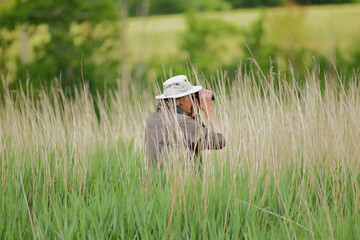 Bird watcher observing wildlife from reed grass
