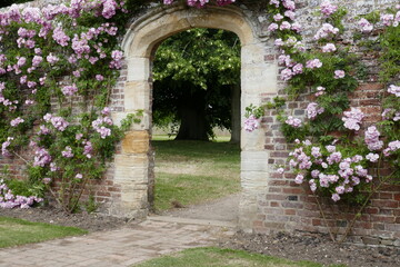 Plakat roses over a stone arch